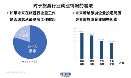 一个专业与另一面 旅游专业毕业生为何抛开行囊转投他业